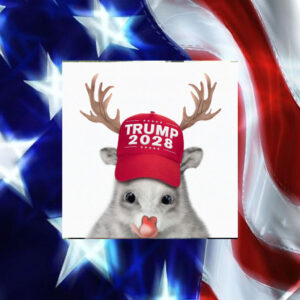 Trump Store Trump 2028 hat