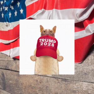 Trump sells ‘Trump 2028’ hats, fueling third-term speculation